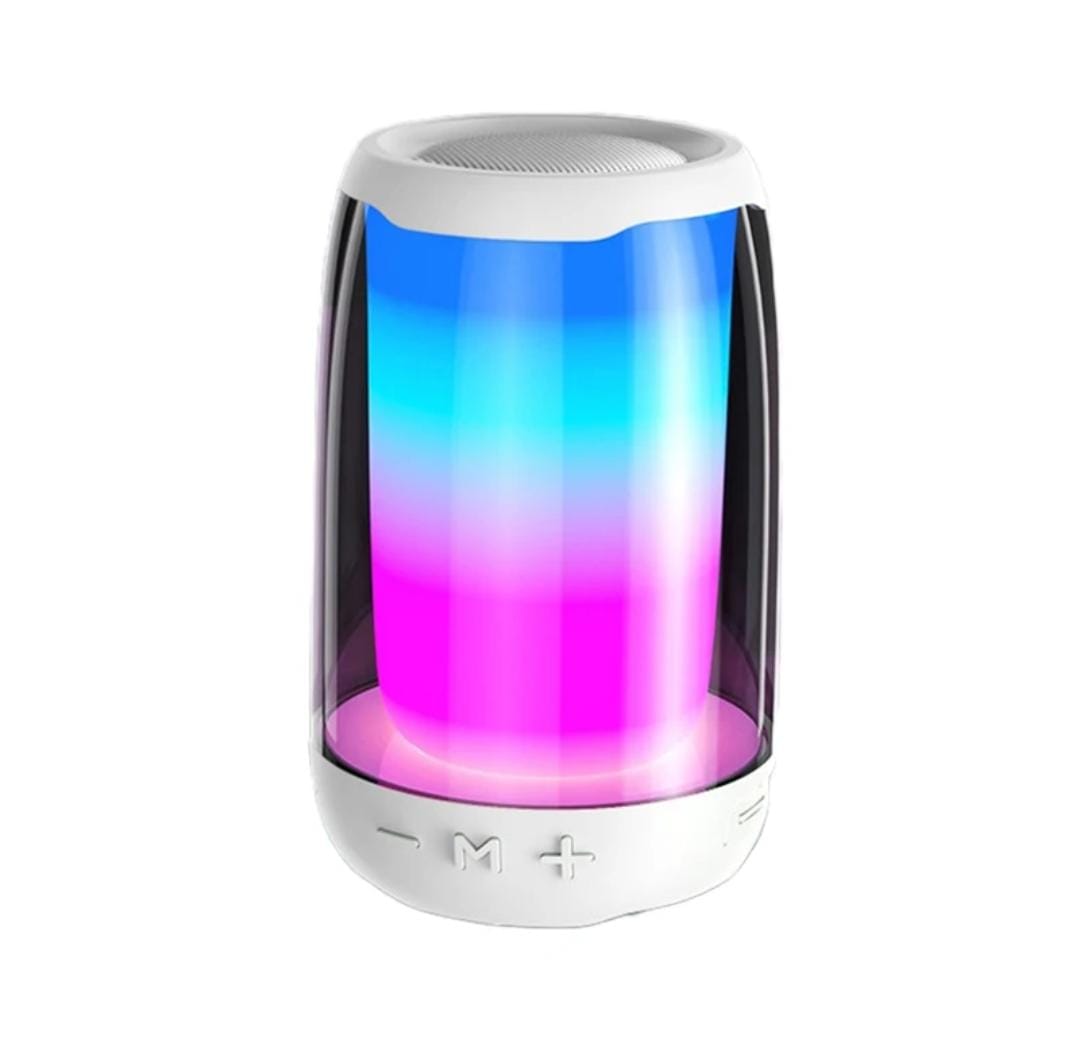 JBL Pulse 4 Mini